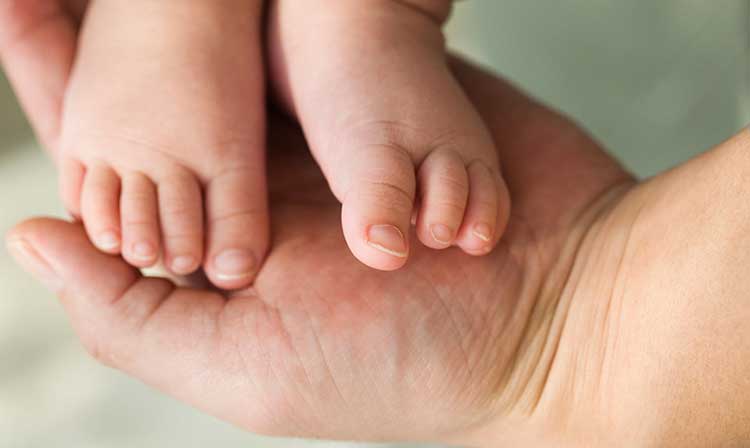 baby feet resting in palm