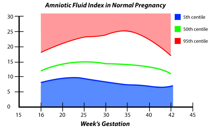 amniotic fluid index