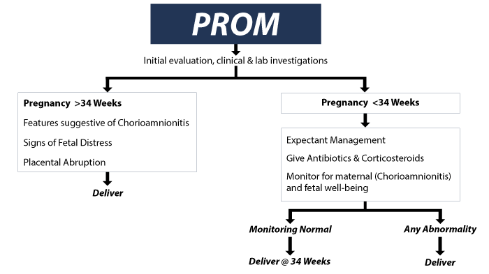 Gestational Age and PROM