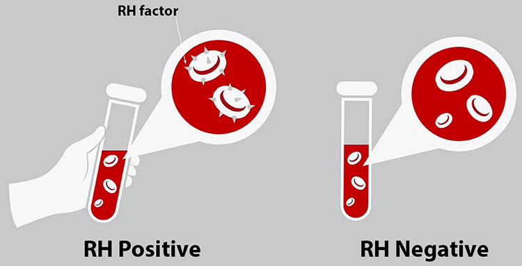 blood test results