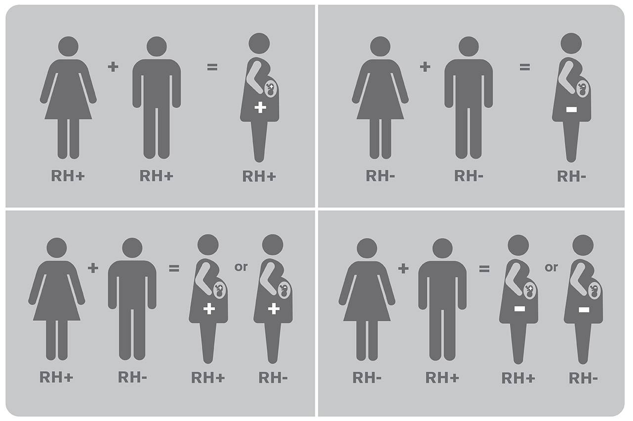 mother-father-Rh combinations