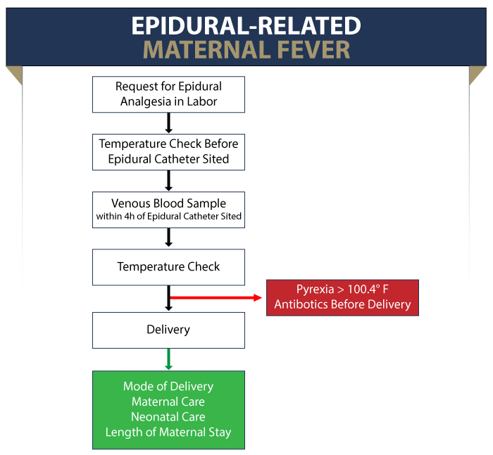 Epidural-Related Maternal Fever