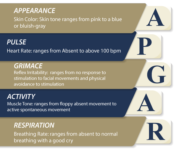 apgar scoring