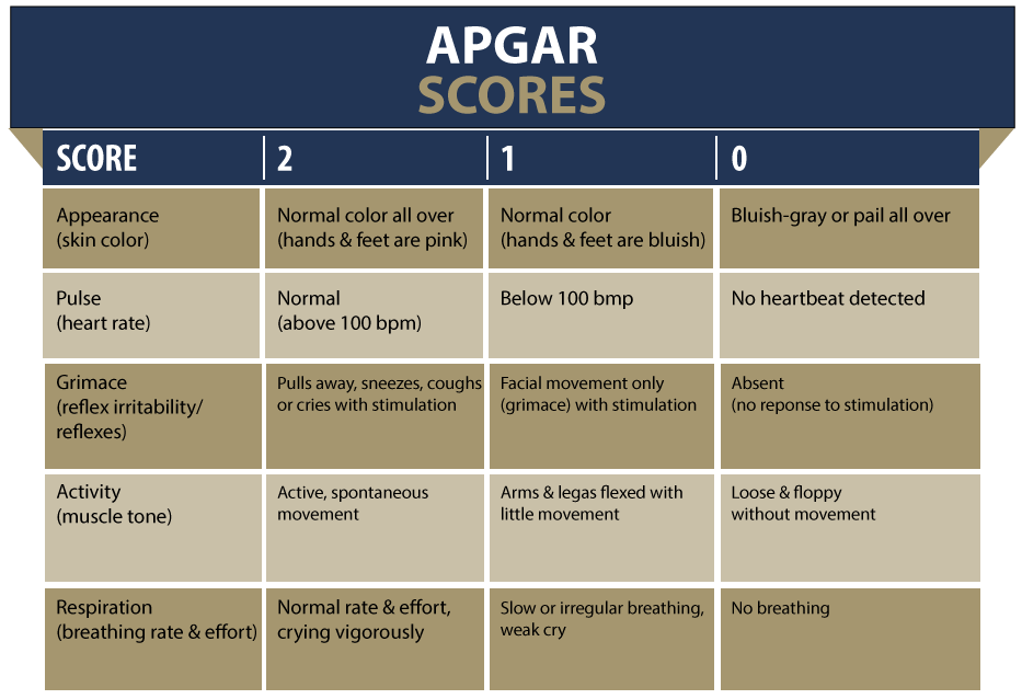 APGAR score chart