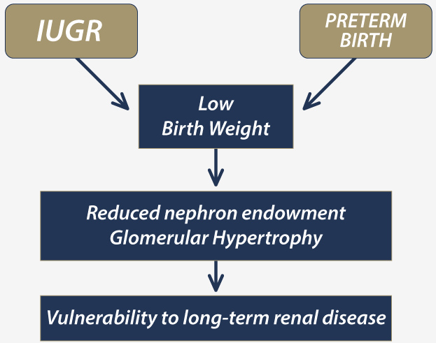 Causes of low birth weight