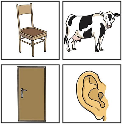 Peabody Picture Vocabulary Test