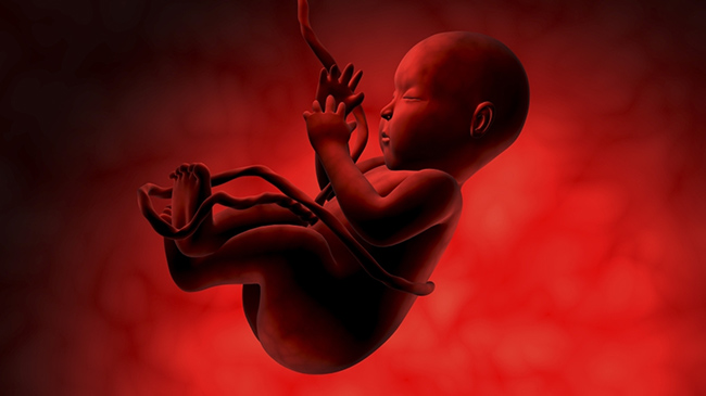 baby floating in womb
