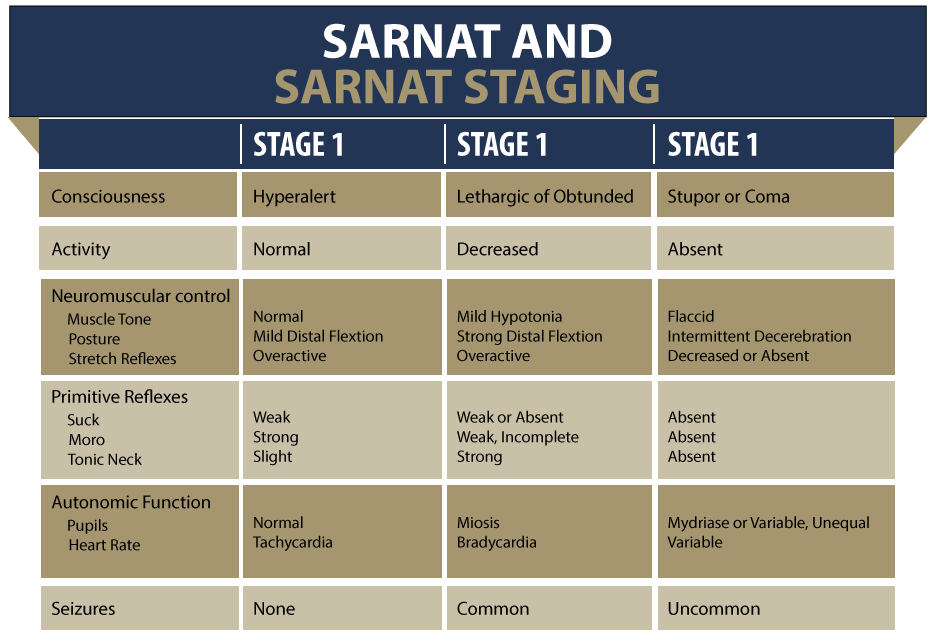 The Sarnat Chart For The Staging Of The Severity Of H - vrogue.co
