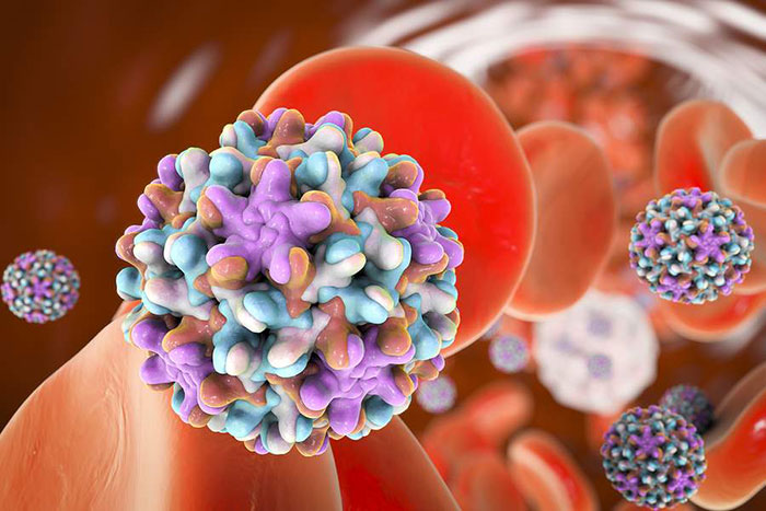 maternal infections