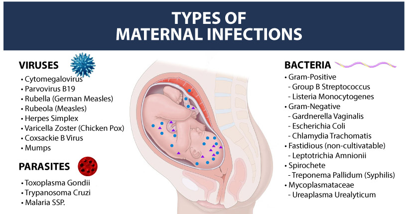 Types of Maternal Infections