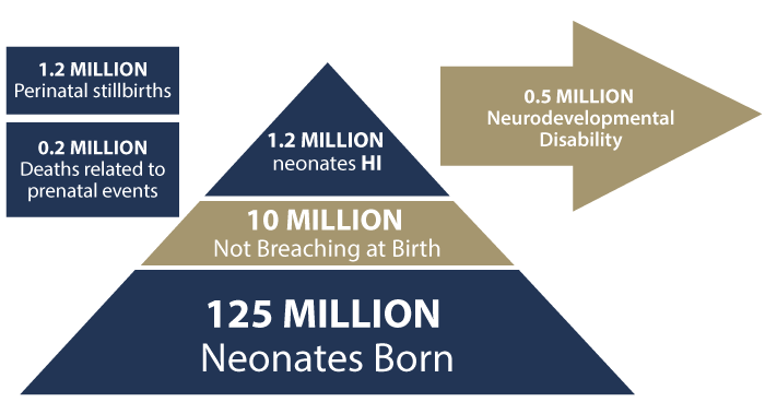 Neonatal HI