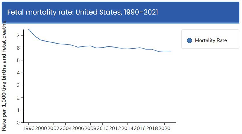CDC maternal mortality rate