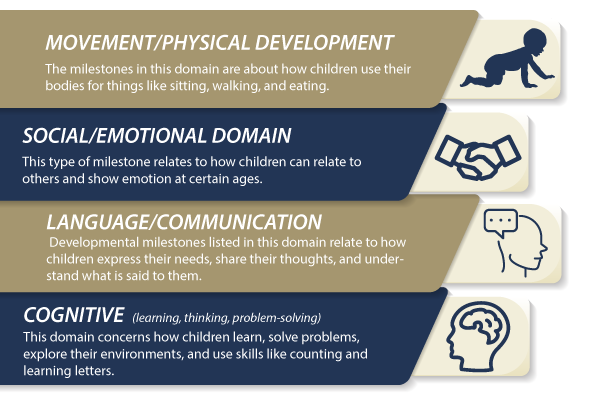 Developmental Milestone Domains