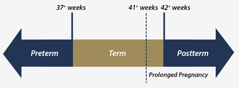 Accurate Dating of Pregnancy