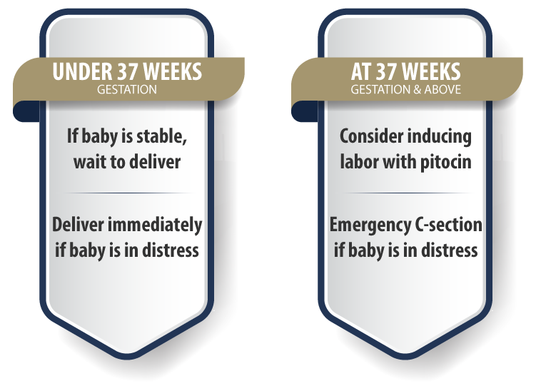 37 Week Gestation