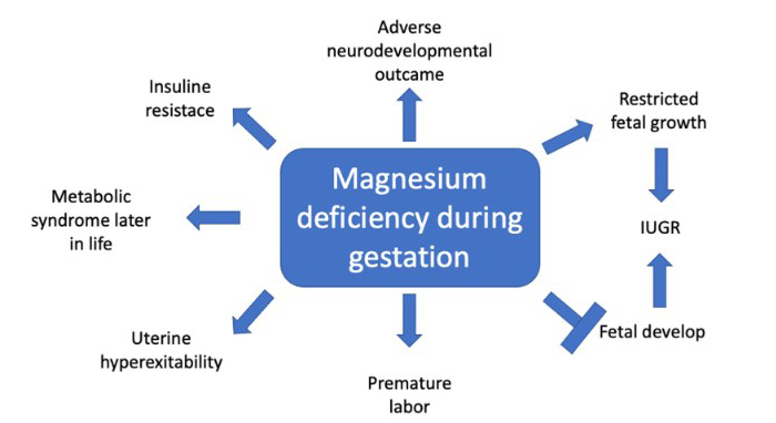 Magnesium Sulfate for Fetal Neuroprotection