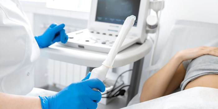 Transvaginal Ultrasound