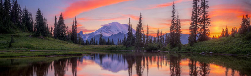 Washington Birth Injury Lawyers