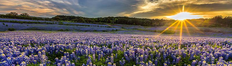 Texas Birth Injury Lawyers