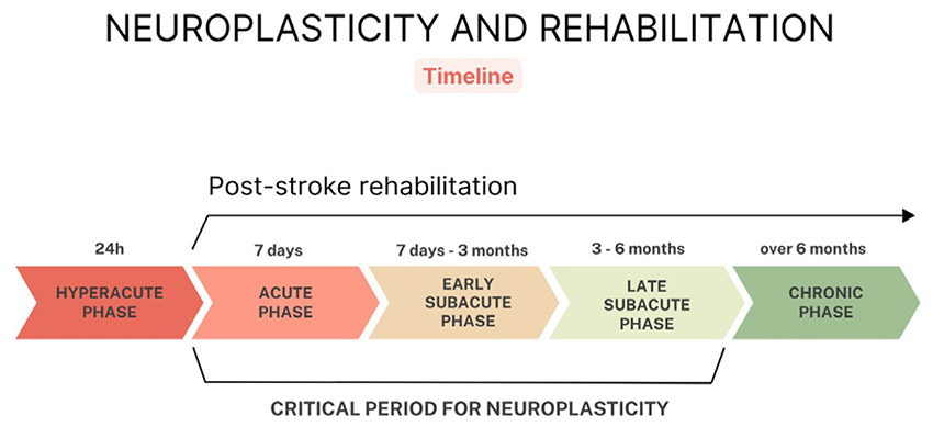 Stroke Rehabilitation
