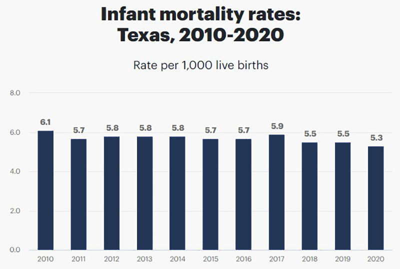 Texas annual live birth rate