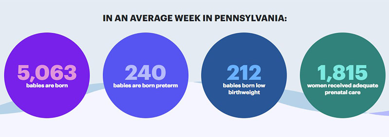 Pennsylvania birth rates