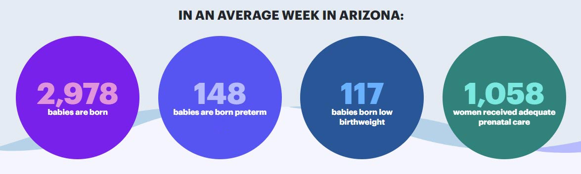 arizona weekly birth rates