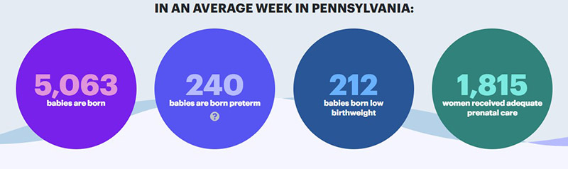 Pennsylvania weekly birth rate