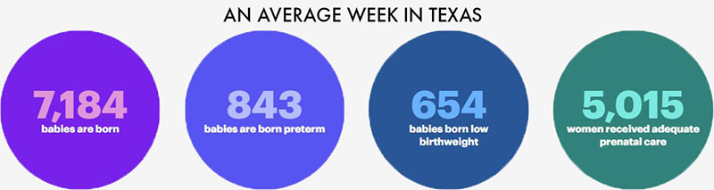 Texas Birth Rate Stats