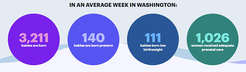 Washington state birth rates