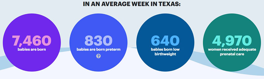 texas birth rate 2023
