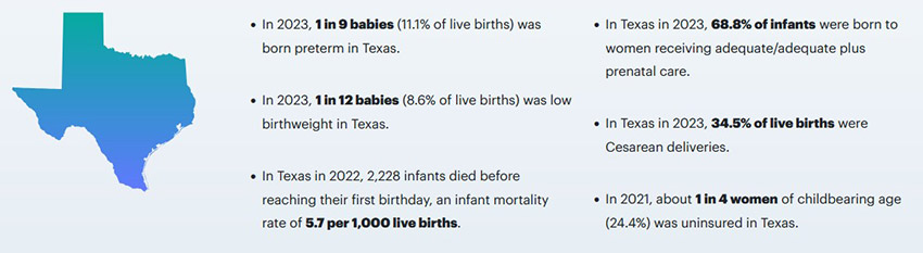 birth statistics in texas 2023