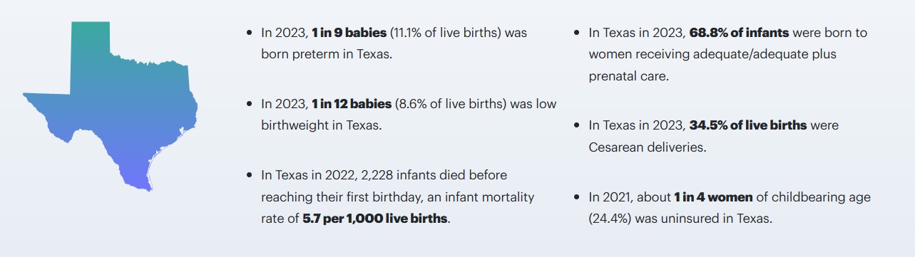 texas birth rates in 2023